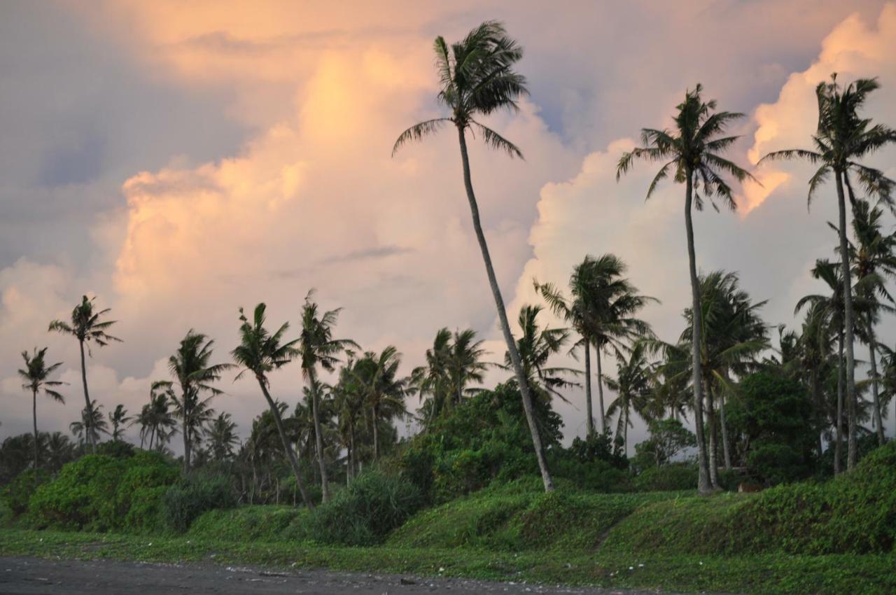 Seaside Tribe - Boutique Surf Stay & Retreat Tanah Lot Eksteriør bilde