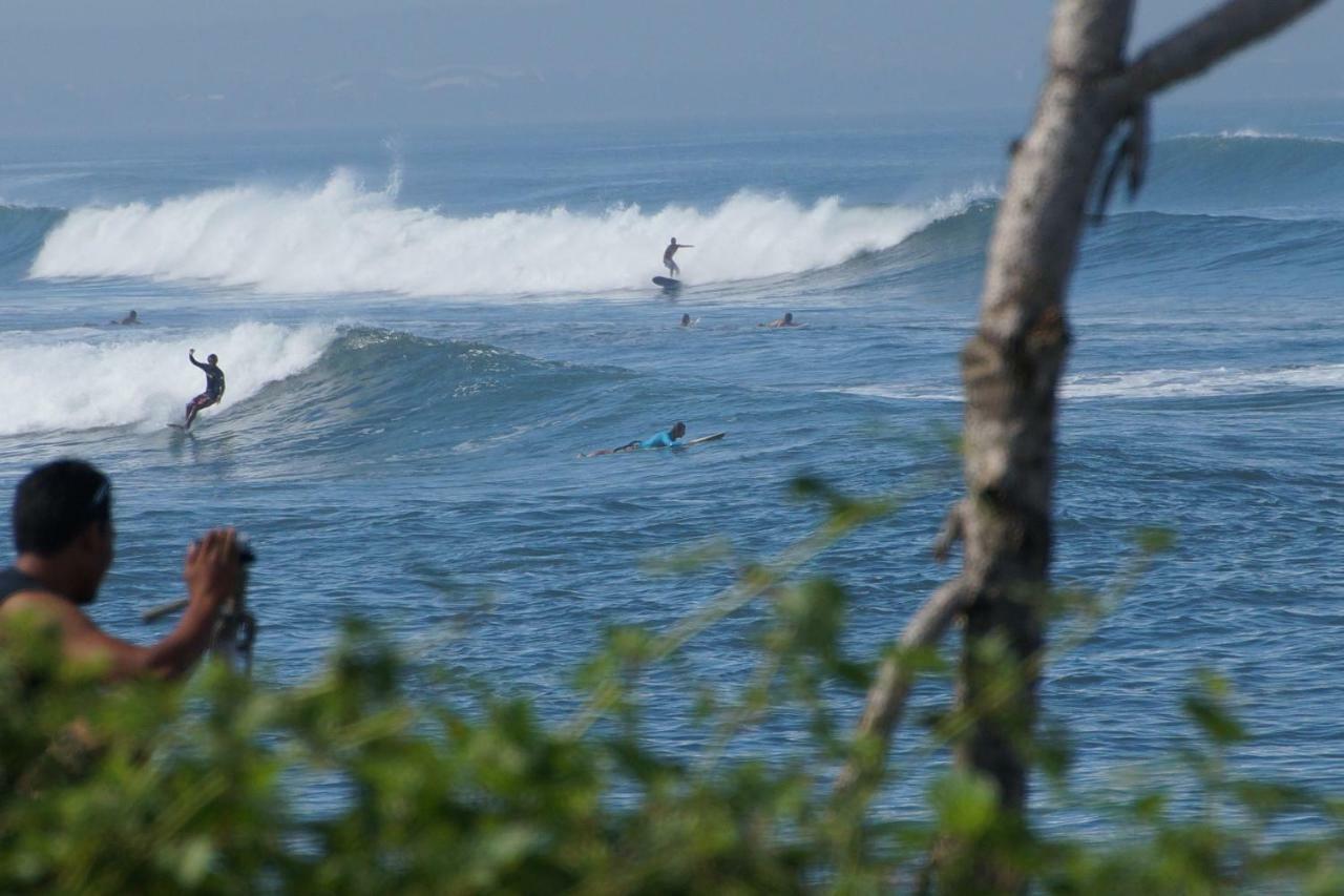 Seaside Tribe - Boutique Surf Stay & Retreat Tanah Lot Eksteriør bilde